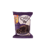 PEEK FREANS CAKE UP DOUBLE YUM CHOCOLATE 17.5 GM