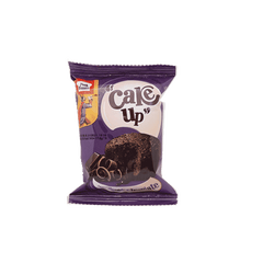 PEEK FREANS CAKE UP DOUBLE YUM CHOCOLATE 17.5 GM