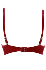 BLS - Costanza Wired And Pushup Bra - Bordory