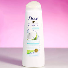 DOVE SHAMPOO COCONUT & HYDRATION 355 ML