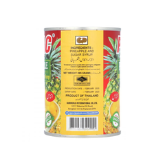 PREMIUM CHOICE PINEAPPLE BROKEN SLICES IN HEAVY SYRUP 565 GM