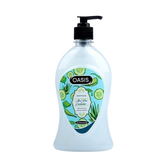 OASIS HAND WASH ALOE VERA AND CUCUMBER 500ML