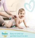 PAMPERS DIAPER PANTS PREMIUM CARE 6 36PCS 16+ KG