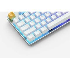 Glorious GMMK White Ice Edition Modular Mechanical Gaming Keyboard - TENKEYLESS - GLO-GMMK-TKL-BRN-W