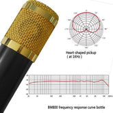 Zingyou Microphone Profesional Condenser Microphone Bm800