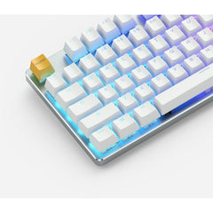 Glorious GMMK White Ice Edition RGB Modular Mechanical Gaming Keyboard - Full Size, GLO-GMMK-FS-BRN-